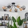 Chehalis Lampa Sufitowa - Szkło 12 cm, 15 cm złoty, czarny, 8-punktowe