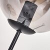 Gastor Lampa Stojąca - Szkło 15 cm Przydymiony, 3-punktowe