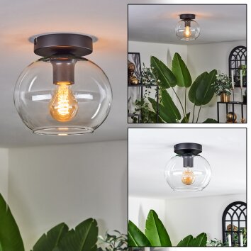 Apedo Lampa Sufitowa - Szkło 20 cm przezroczysty, 1-punktowy