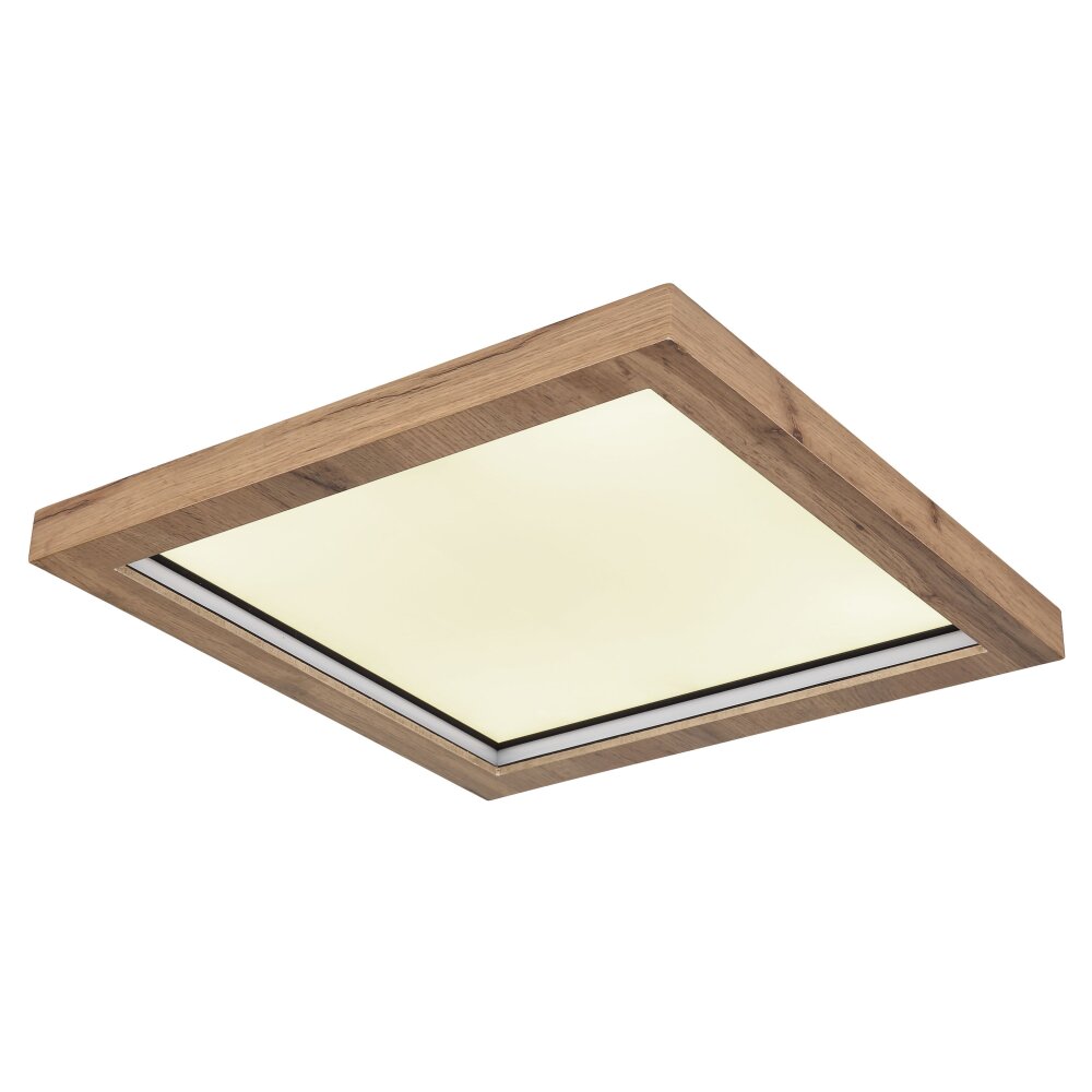 Globo BRANZA Lampa Sufitowa LED Czarny, 1-punktowy, Zdalne sterowanie main product photo