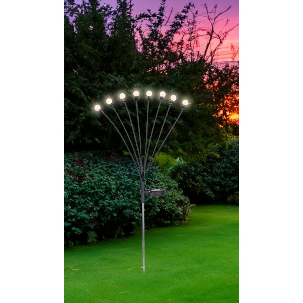 Globo SOLAR Oświetlenie ścieżek LED Stal nierdzewna, Czarny, 8-punktowe main product photo