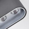Dalarna Lampa Sufitowa LED szary, srebrny, 1-punktowy