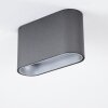 Dalarna Lampa Sufitowa LED szary, srebrny, 1-punktowy