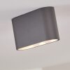 Dalarna Lampa Sufitowa LED szary, srebrny, 1-punktowy