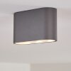 Dalarna Lampa Sufitowa LED szary, srebrny, 1-punktowy