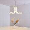 Bangor Lampa Wisząca LED Biały, 1-punktowy