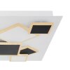 Globo RABEA Lampa Sufitowa LED Biały, 1-punktowy, Zdalne sterowanie