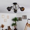 Southwest Lampa Sufitowa Złoty, Czarny, 3-punktowe