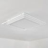 Haumonia Lampa Sufitowa LED Biały, 2-punktowe, Zdalne sterowanie, Zmieniacz kolorów