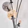 Gastor Lampa Stojąca - Szkło 15 cm W kolorze bursztynu, Przezroczysty, Przydymiony, 6-punktowe