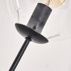 Gastor Lampa Stojąca - Szkło 15 cm Przezroczysty, 3-punktowe