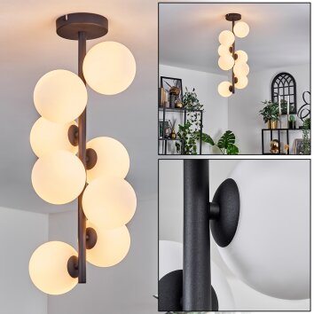 Chehalis Lampa Sufitowa - Szkło 12 cm Biały, 8-punktowe