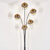 Koyoto Lampa Stojąca - Szkło 15 cm Złoty, Przezroczysty, 5-punktowe