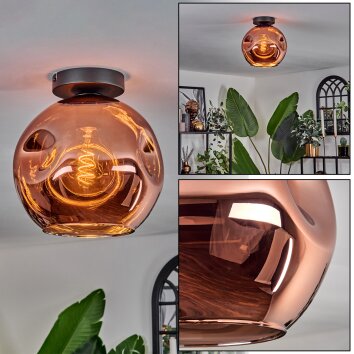 Ripoll Lampa Sufitowa - Szkło 25 cm W kolorze miedzi, 1-punktowy