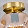 Ripoll Lampa Sufitowa - Szkło 20 cm Złoty, Czarny, 1-punktowy