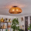 Bauro Lampa Sufitowa 50 cm Czarny, 2-punktowe