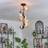 Chehalis Lampa Sufitowa - Szkło 10 cm, 12 cm, 15cm bursztynowy, przezroczysty, przydymiony, 8-punktowe