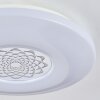 Kaas Lampa Sufitowa LED Chrom, Biały, 1-punktowy