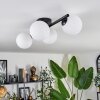 Chehalis Lampa sufitowa Biały, 4-punktowe