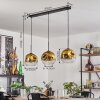 Ripoll Lampa wisząca Złoty, Przezroczysty, 3-punktowe