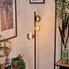 Remaisnil lampa stojąca bursztynowy, przydymiony, 3-punktowe
