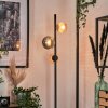 Remaisnil Lampa stojąca W kolorze bursztynu, Przydymiony, 3-punktowe