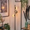 Remaisnil Lampa stojąca W kolorze bursztynu, Przydymiony, 3-punktowe