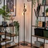 Remaisnil Lampa stojąca W kolorze bursztynu, Przydymiony, 3-punktowe