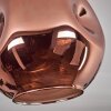Ripoll Lampa sufitowa Złoty, Czarny, 1-punktowy