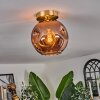 Ripoll Lampa sufitowa Złoty, Czarny, 1-punktowy