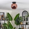 Ripoll lampa sufitowa miedziany, 1-punktowy
