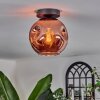 Ripoll lampa sufitowa miedziany, 1-punktowy