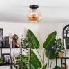 Ripoll lampa sufitowa bursztynowy, 1-punktowy