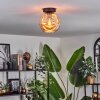 Ripoll lampa sufitowa bursztynowy, 1-punktowy