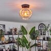 Ripoll lampa sufitowa bursztynowy, przezroczysty, 1-punktowy