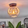 Ripoll lampa sufitowa bursztynowy, przezroczysty, 1-punktowy