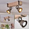 Pehefito lampa sufitowa szary, zielony, kolory naturalne, 2-punktowe