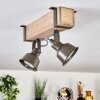 Pehefito lampa sufitowa szary, zielony, kolory naturalne, 2-punktowe