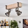 Pehefito lampa sufitowa szary, zielony, kolory naturalne, 2-punktowe