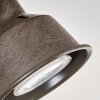 Pehefito lampa sufitowa szary, zielony, kolory naturalne, 2-punktowe