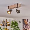 Pehefito lampa sufitowa szary, zielony, kolory naturalne, 2-punktowe