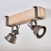 Pehefito lampa sufitowa szary, zielony, kolory naturalne, 2-punktowe