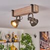 Pehefito lampa sufitowa szary, zielony, kolory naturalne, 2-punktowe