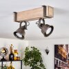 Pehefito lampa sufitowa szary, zielony, kolory naturalne, 2-punktowe