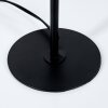 Lampa w kształcie grzyba  Sandvig Lampa stołowa Czarny, 1-punktowy