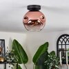 Ripoll lampa sufitowa przezroczysty, miedziany, 1-punktowy