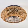 Fallhagen Lampa sufitowa, lampa z wentylatorem Czarny, 4-punktowe, Zdalne sterowanie