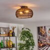 Brandala Lampa sufitowa Czarny, 2-punktowe