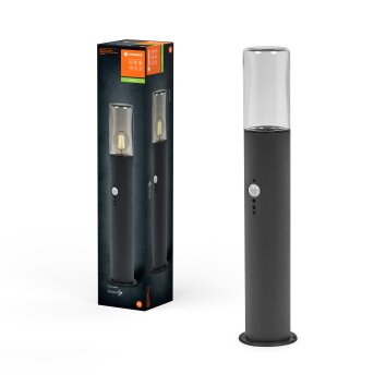 Oświetlenie Ledvance Endura kinkiet szary, 1-punktowy