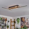 Sigersvik lampa sufitowa LED kolory naturalne, czarny, 1-punktowy